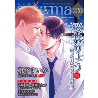 enigma vol.55