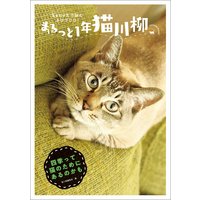 まるっと1年猫川柳