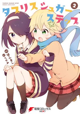 タプリスシュガーステップ(2)