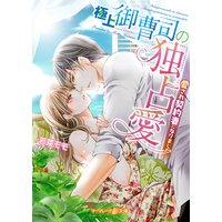 極上御曹司の独占愛〜愛され契約妻になりました〜