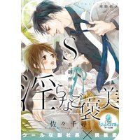 S系御曹司の淫らなご褒美