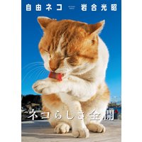 岩合光昭 写真集 「自由ネコ」