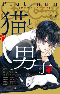 Sho‐Comiプラチナ 6号