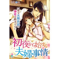初夜から始まる夫婦事情〜一途な次期社長の溺愛は鎮まらない〜