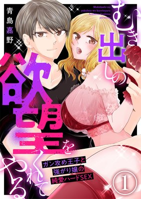 むき出しの欲望をくれてやる〜ガン攻め王子と強がり嬢の純愛ハードSEX〜