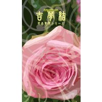 吉夢結