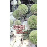 球環譚