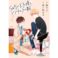 SNSの王子様と、シンデレラの靴