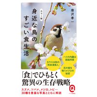 カラー版 身近な鳥のすごい食生活