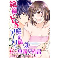 絶倫ドS魔術師アークと私の専属契約書3