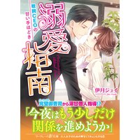 溺愛指南〜敏腕CEOの甘い手ほどき〜