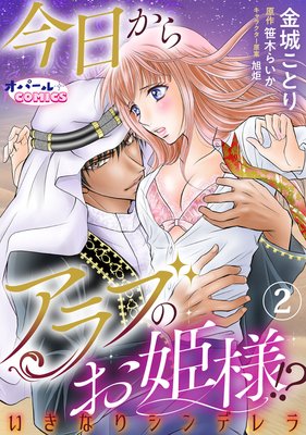 今日からアラブのお姫様!? いきなりシンデレラ2
