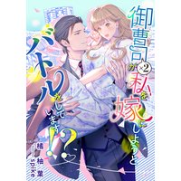 御曹司×2が私を嫁にしようとバトルをしています!?