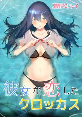 ����������������å����ڥե륫�顼��