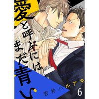 愛と呼ぶにはまだ青い(6)