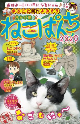 ねこぱんちNo.166 木かげ猫号