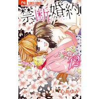 禁.断.婚.約.【電子限定特典ペーパー付き】 12