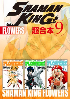 SHAMAN KING Ķ������ 9��