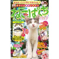 ねこぱんちNo.167 猫の庭号