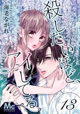 ���������ۤɡ��������Ƥ� 13