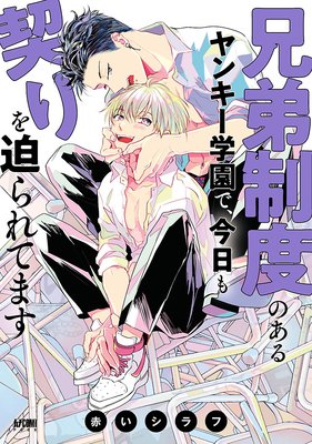 兄弟制度のあるヤンキー学園で 今日も契りを迫られてます 電子単行本 Renta 限定ペーパー付 赤いシラフ 電子コミックをお得にレンタル Renta