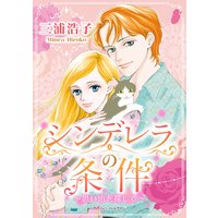 シンデレラの条件〜思い出を探して〜