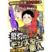 シャルトル公爵の愉しみ 文庫版 名香智子 電子コミックをお得にレンタル Renta