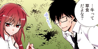 ������SHOP�ǥ����Ȥι�� 27�ڥե륫�顼��