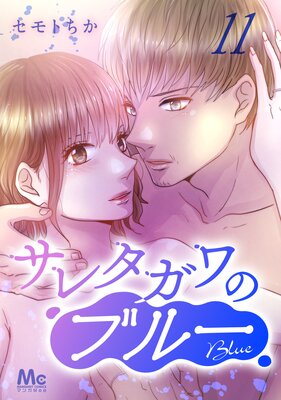 ���쥿����Υ֥롼 ʬ���� 11