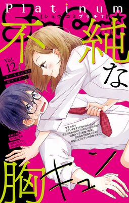 Sho‐Comiプラチナ 12号