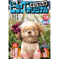 ビッグコミックオリジナル