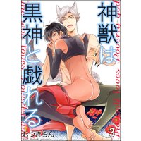 神獣は黒神と戯れる(分冊版) 【第3話】