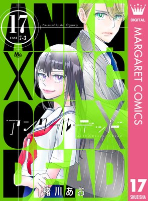 ���󥯡���ǥå� 17