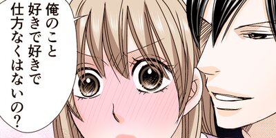 �����Ĥ��������� 11�ڥե륫�顼��