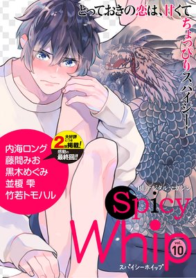Spicy Whip vol.10