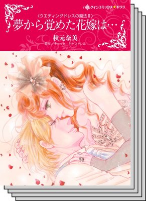 【ハーレクインコミック】因縁の恋 テーマ セットvol.8