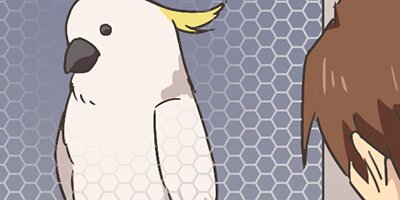 �������ǥ����ڵ㤱���á���ư�����á� ��88�áڥե륫�顼��