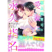 極上御曹司の愛妻に永久指名されました