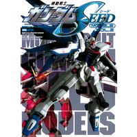 機動戦士ガンダムSEEDモデル Vol.2