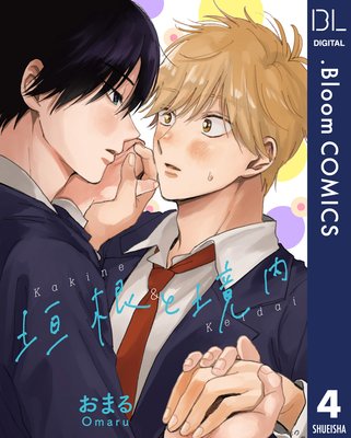 ��ñ����۳����ȶ��� 4