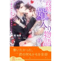 政略婿入り物語〜愛の押し売りはご遠慮致します〜