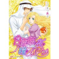 白雪姫と夜の瞳のスルタン