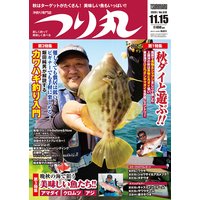 つり丸 2020年 11/15号