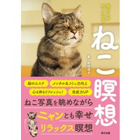 ねこ瞑想 毎日5分 ねこになる