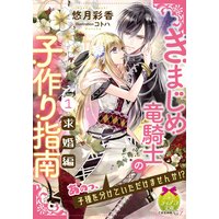 きまじめ竜騎士の子作り指南