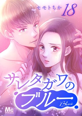 ���쥿����Υ֥롼 ʬ���� 18