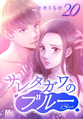 ���쥿����Υ֥롼 ʬ���� 20