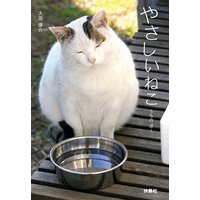 やさしいねこ うちの ぽー