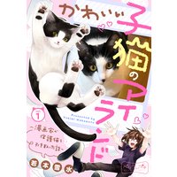 かわいい子猫のアイランド 〜漫画家が保護猫を引き取った話〜 ベツフレプチ