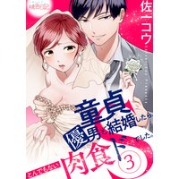 童貞優男と結婚したら、とんでもない肉食ドSでした。 3